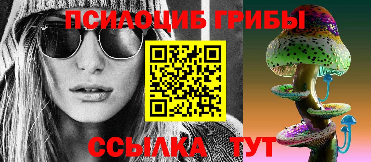 Кизилюрт  Псилоцибиновые грибы Psilocybine cubensis  Вход с VPN  Галлюциногенные грибы мухоморы 